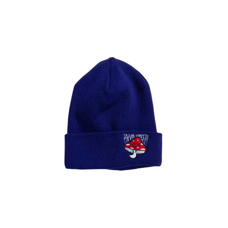 Gorro de lana Bang Concept Frongo morado