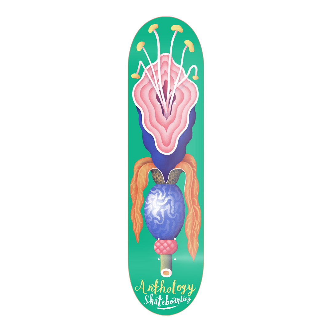 Tabla de skate chilena Anthology Tulip 8.25 solo en skateshop
