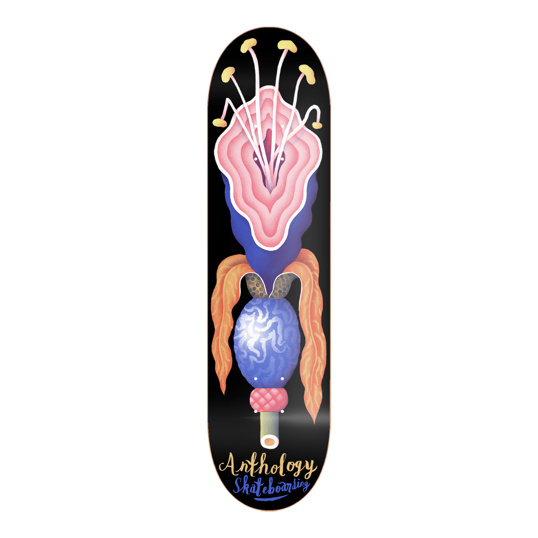 tablas de skate nacional concavo skateshop