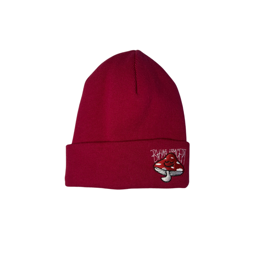 GORRO LANA BANG Frongo beanies C/letras Fucsia