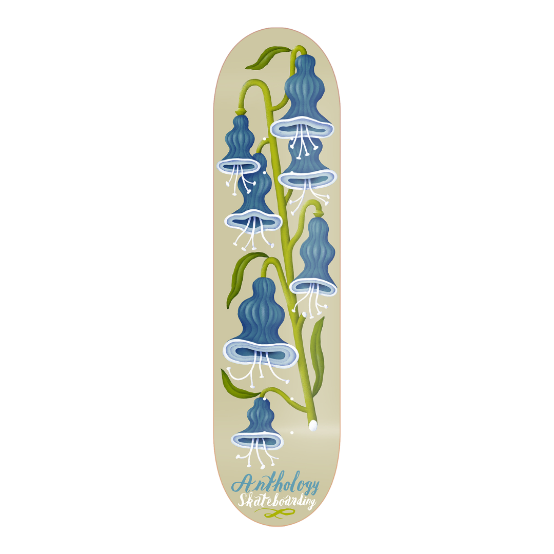 skateshop chile skateboarding skate apoya lo nacional 
